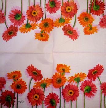 343 Daisies - 3-ply - Ambiente - CS